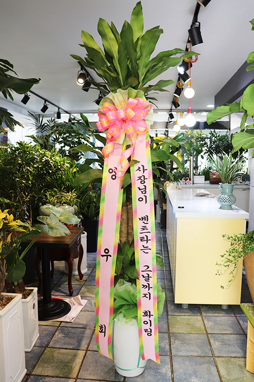 20180911110415_uwffnuao.jpg