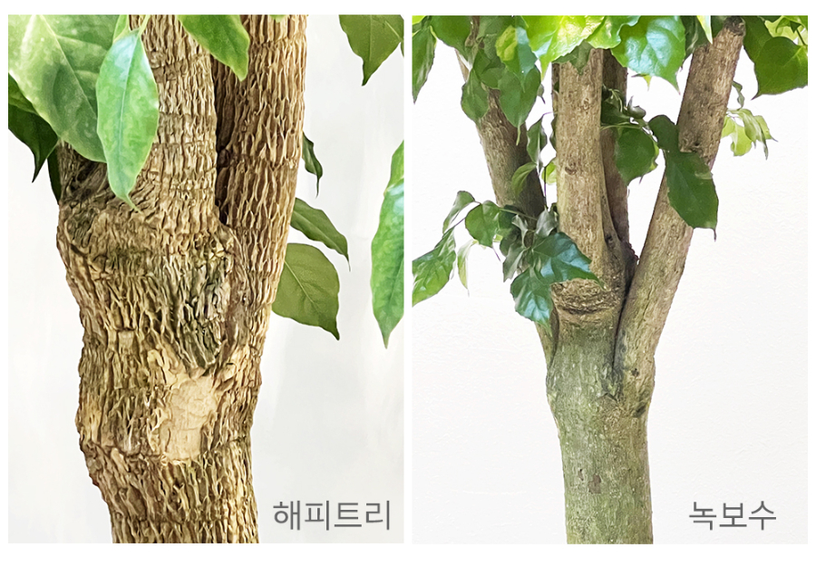 해피.jpg