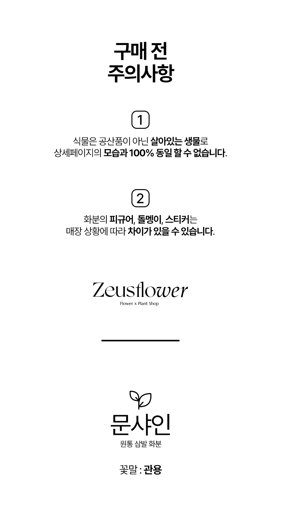 문샤인_01_01.jpg