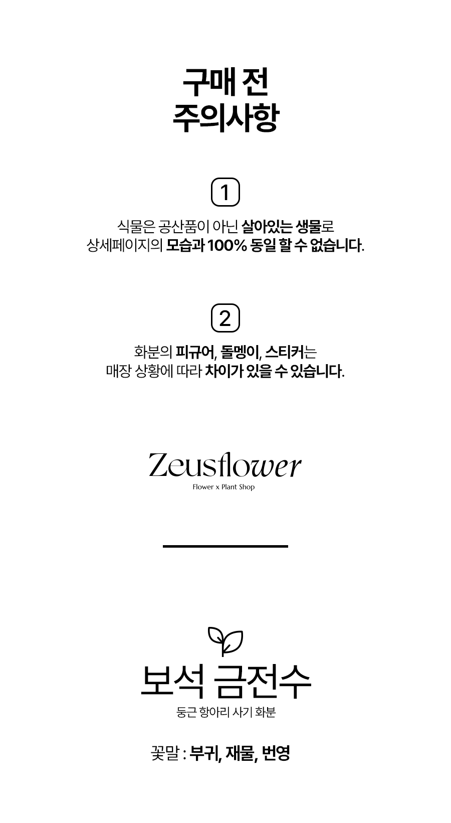 금전수_01_01.jpg