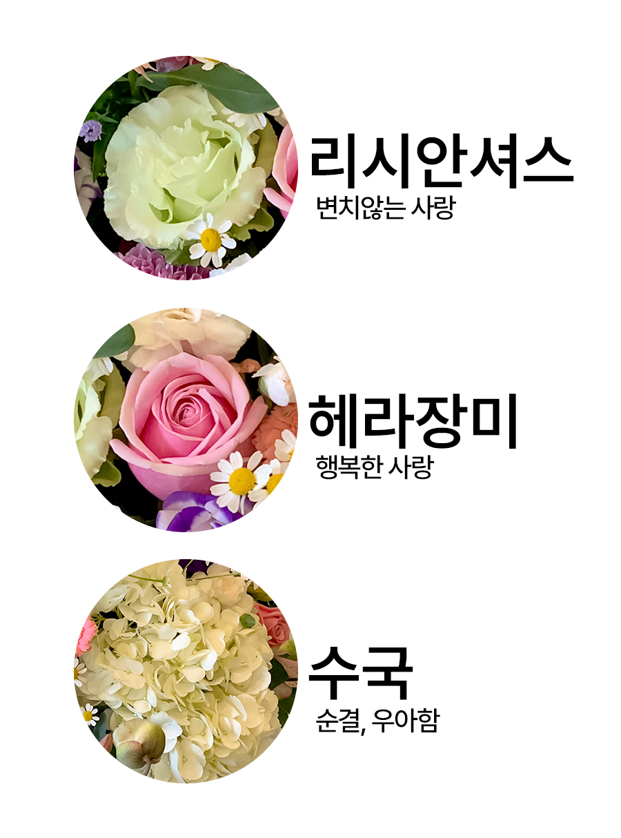 그레이스펄_01_08.jpg