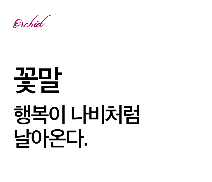 만천홍.jpg