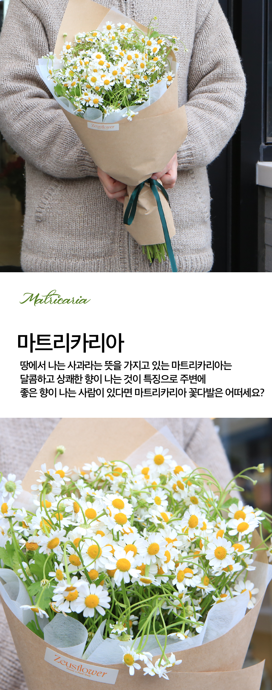 01_상페 3.jpg