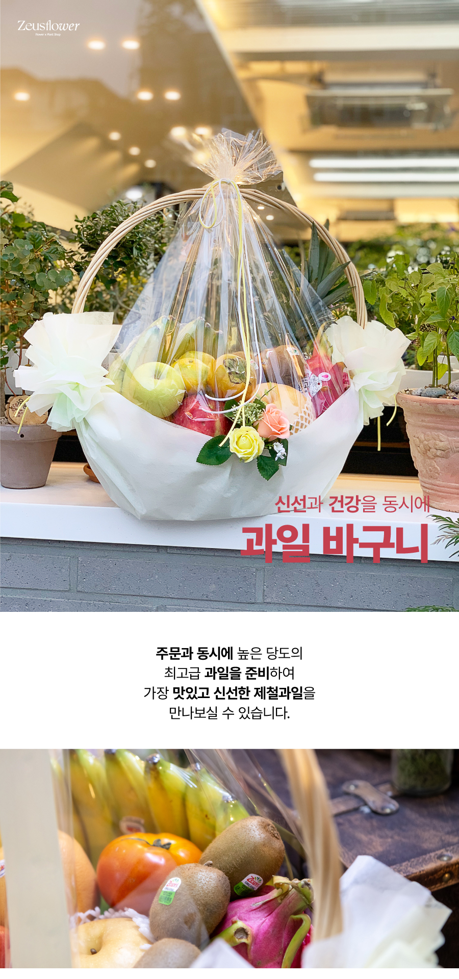 과일바구니-1.jpg