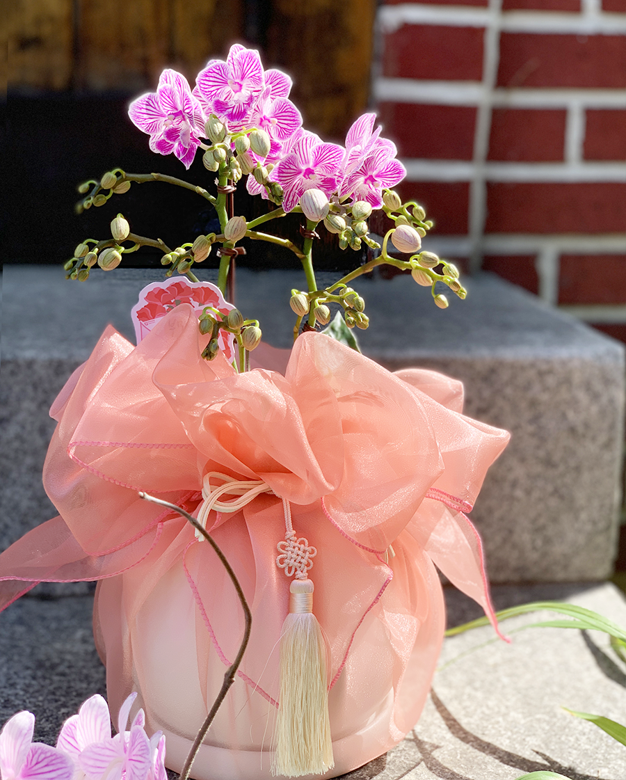 IMG_E4934.png