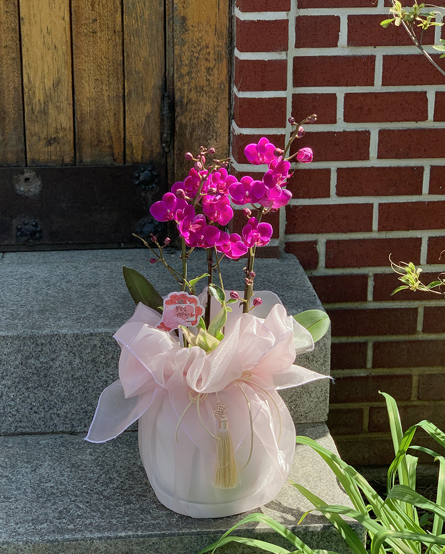 IMG_E4859.png