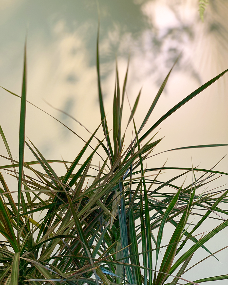IMG_E1889.png